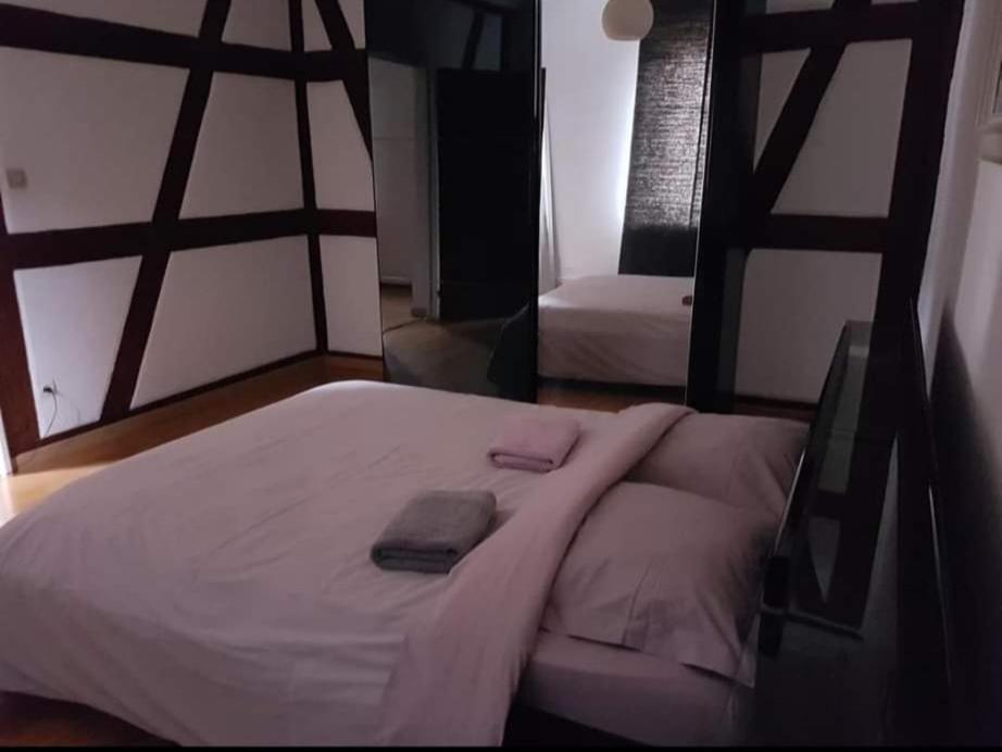 Spacious Appartement Colmar 2 Esterno foto